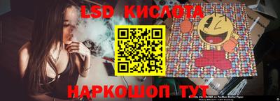 гидропоника Рязань