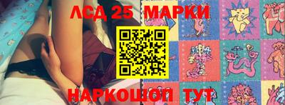 гидропоника Рязань
