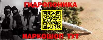 стаф Свободный