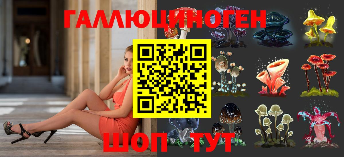 Псилоцибиновые грибы Psilocybe  Вход с VPN  Топки 