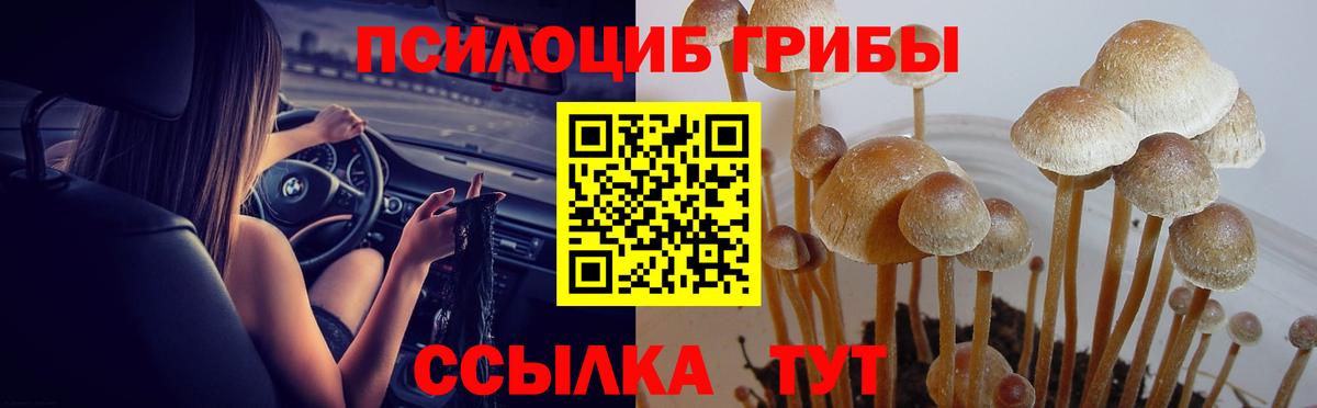 Галлюциногенные грибы ЛСД Топки